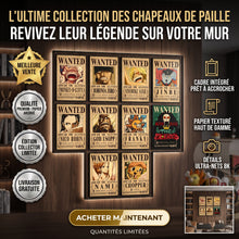 Charger l'image dans la galerie, Lot de 10 Posters Wanted - Mugiwara
